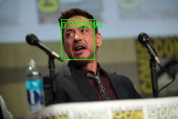 boxes/RobertDowney2.jpg